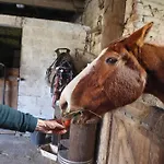 La Demeure De La Poterie, & Wimereux