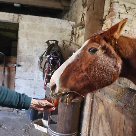 La Demeure De La Poterie, & Wimereux